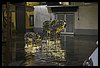 20T_0180.JPG