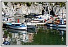 50 20L_4205.JPG
