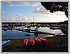 50 DSCN3742.JPG