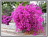 52 DSCN3211.JPG