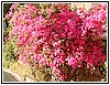 68 DSCN3303.JPG