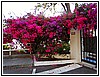 70 DSCN3309.JPG