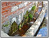 74 DSCN3324.JPG