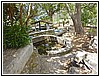 75 DSCN3327.JPG