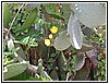 88 DSCN3356.JPG