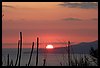 DSCN4452a.jpg