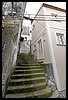 21D_0942.jpg