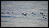 21D_1206.JPG