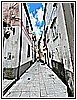 IMG_4674.jpg