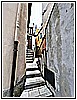 IMG_4675.jpg