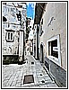 IMG_4676.jpg