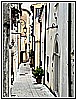 IMG_4677.jpg