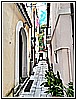 IMG_4678.jpg