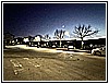 IMG_4707.jpg