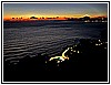 IMG_4712.jpg