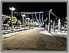 IMG_4732.jpg