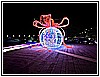 IMG_4738.jpg