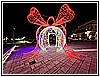 IMG_4739.jpg