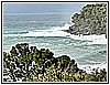 IMG_4776.jpg