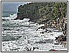 IMG_4780.jpg