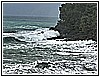 IMG_4781.jpg