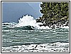 IMG_4794.JPG