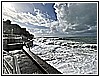 IMG_4796.JPG