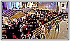 2084  MaraChristmas 12-12-2021.jpg