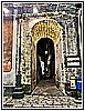 IMG_4847.jpg