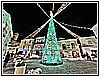 IMG_4859.jpg