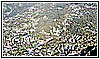 2113  Dalla Colla 22-12-2021.jpg