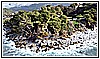 2141  Punta Santavenere 29-12-2021.jpg