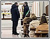 IMG_6331.jpg