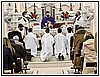 IMG_6338.jpg