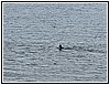 IMG_6321.jpg