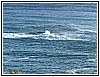 IMG_6385.jpg