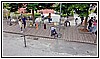 2730 2022-05-27.jpg