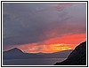 IMG_7486.jpg