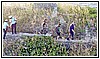 22H_3582 2913 26 giugno 2022.jpg