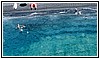 2972  03-07-2022.jpg