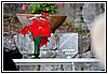 22L_4838.JPG