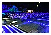 22L_5709.JPG