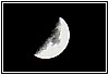 22R_2888.JPG