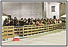 22R_4104.JPG