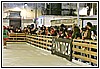 22R_4106.JPG