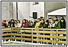 22R_4120.JPG