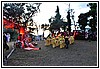 22T_4564.JPG