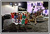 22T_4773.JPG