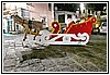 22T_4777.JPG