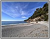 IMG_1232.jpg